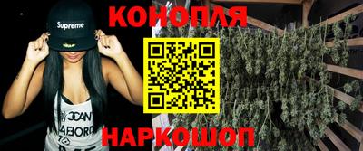 Альфа ПВП Можайск