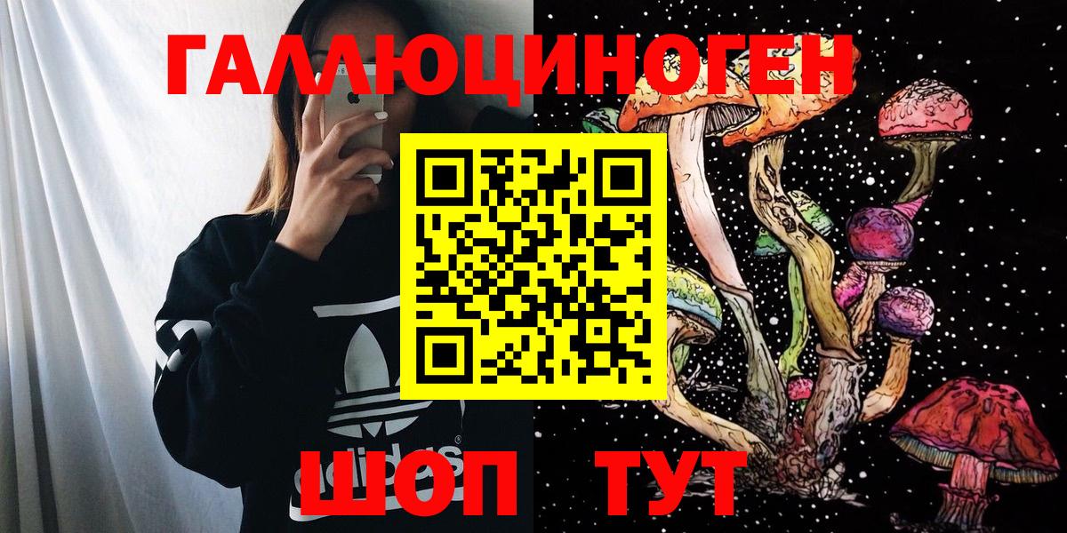 Псилоцибиновые грибы Psilocybe Асбест